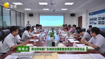 光大环保 深耕土壤修复治理，打造标杆工程——原沈阳味精厂东地块项目顺利通过论证验收